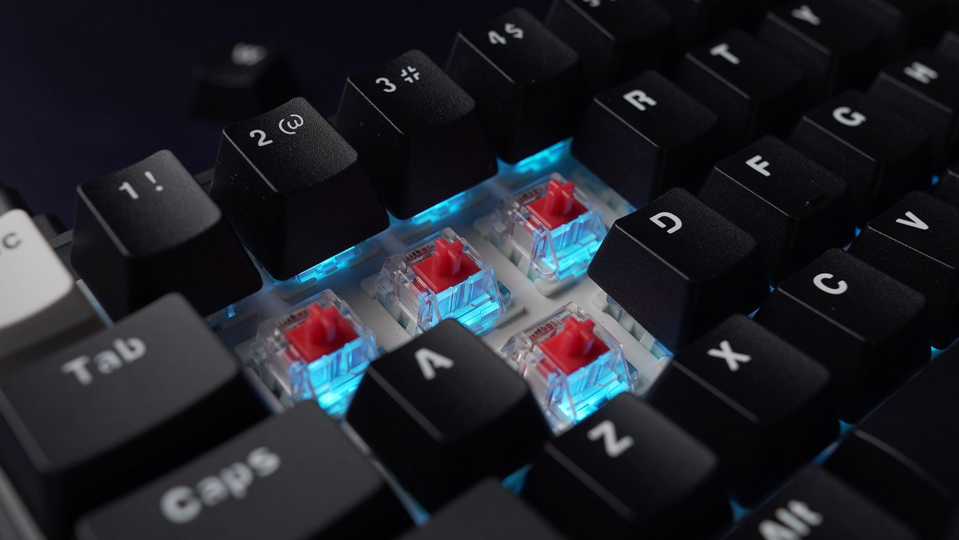 How to Update Fantech MAXFIT61 FROST Firmware!