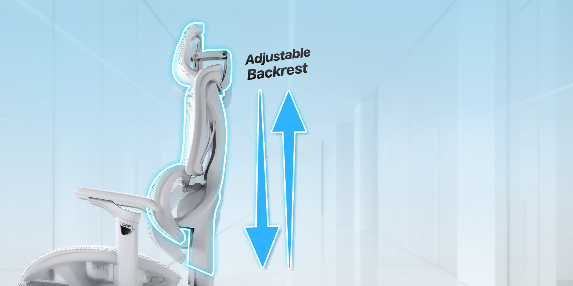 CUSTOMIZED BACK SUPPORT EVERY DAY