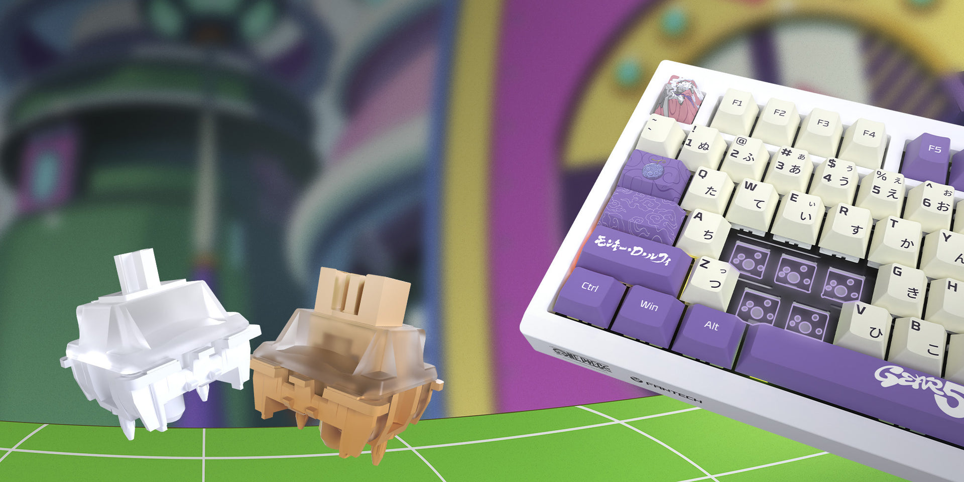 SOUTH-FACING HOT-SWAPPABLE SWITCHES