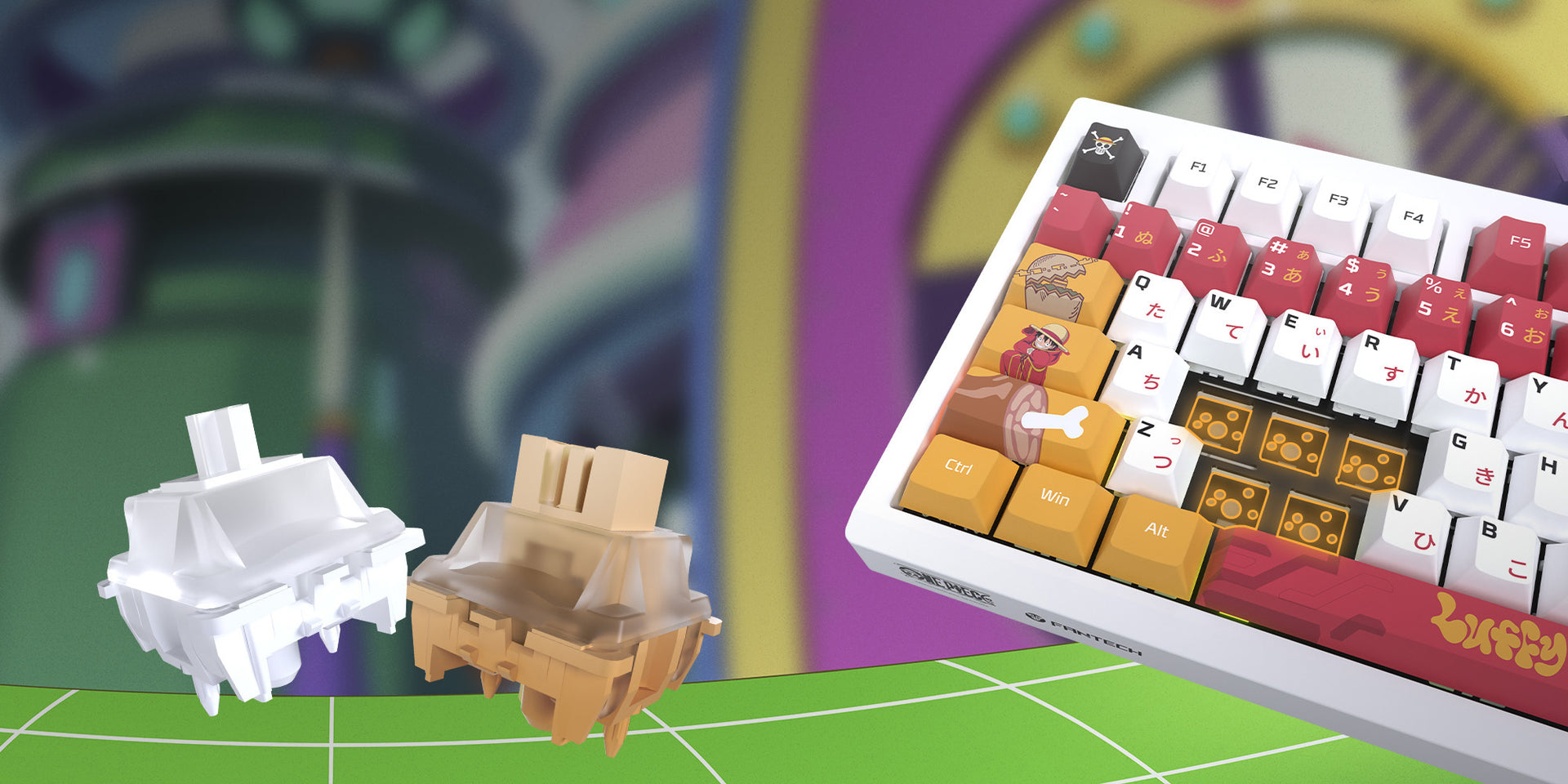 SOUTH-FACING HOT-SWAPPABLE SWITCHES