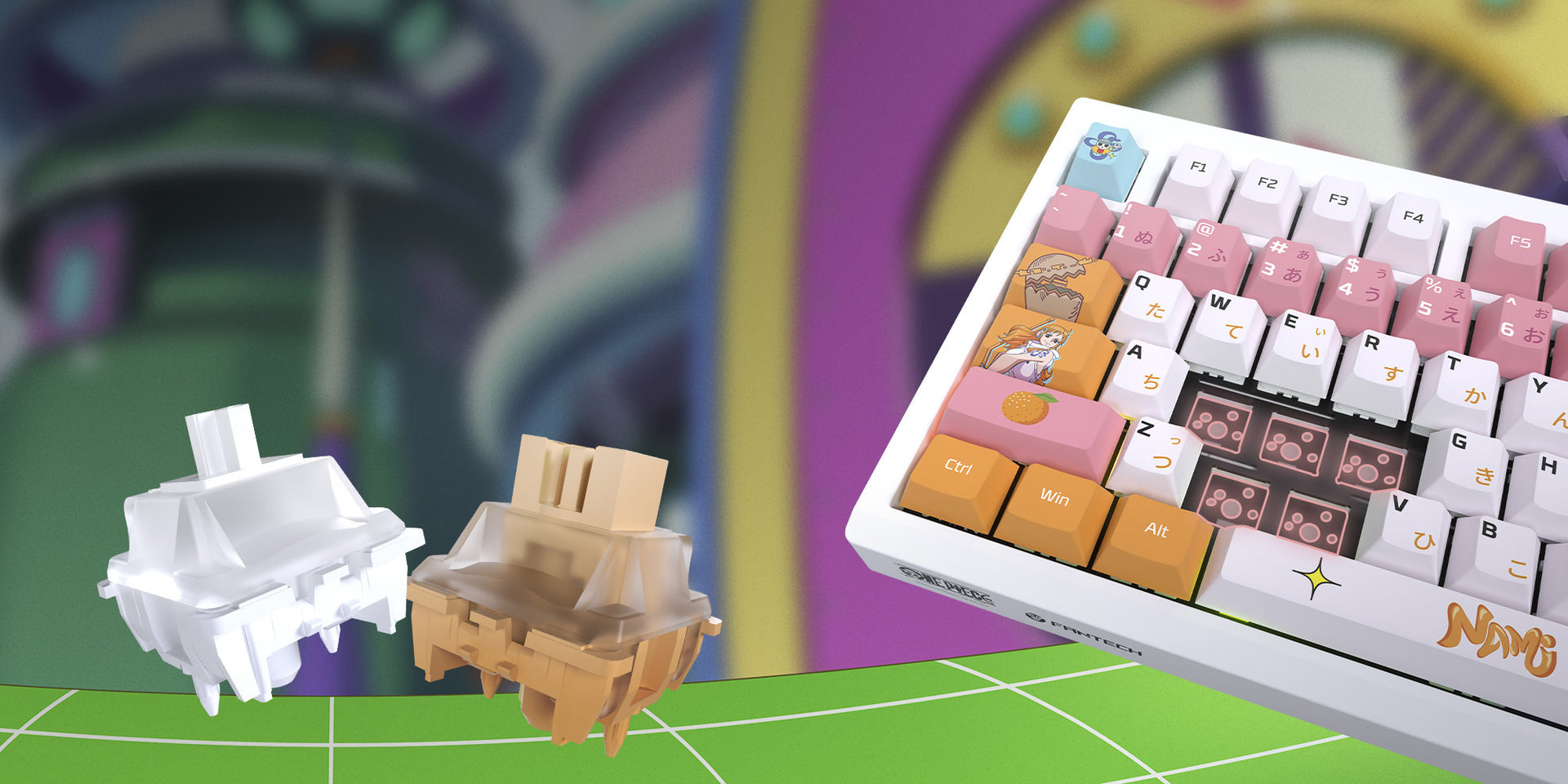 SOUTH-FACING HOT-SWAPPABLE SWITCHES