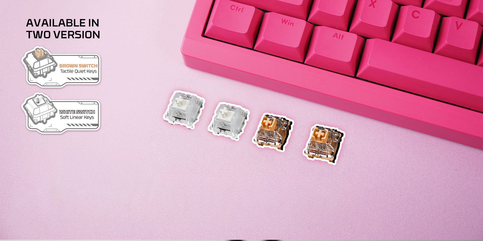 SOUTH-FACING HOT-SWAPPABLE SWITCHES