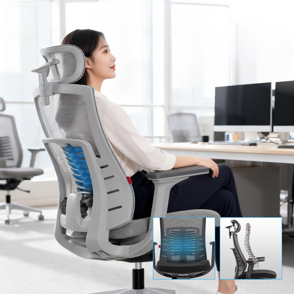 ERGONOMIC LUMBAR SUPPORT