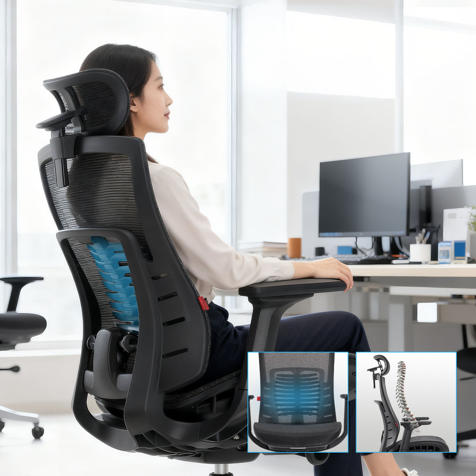 ERGONOMIC LUMBAR SUPPORT