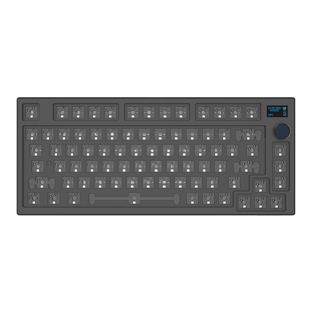 MAXFIT81 VIBE EDITION