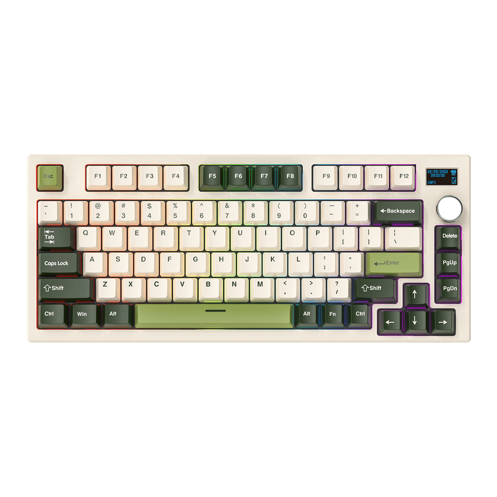 MAXFIT81 VIBE EDITION