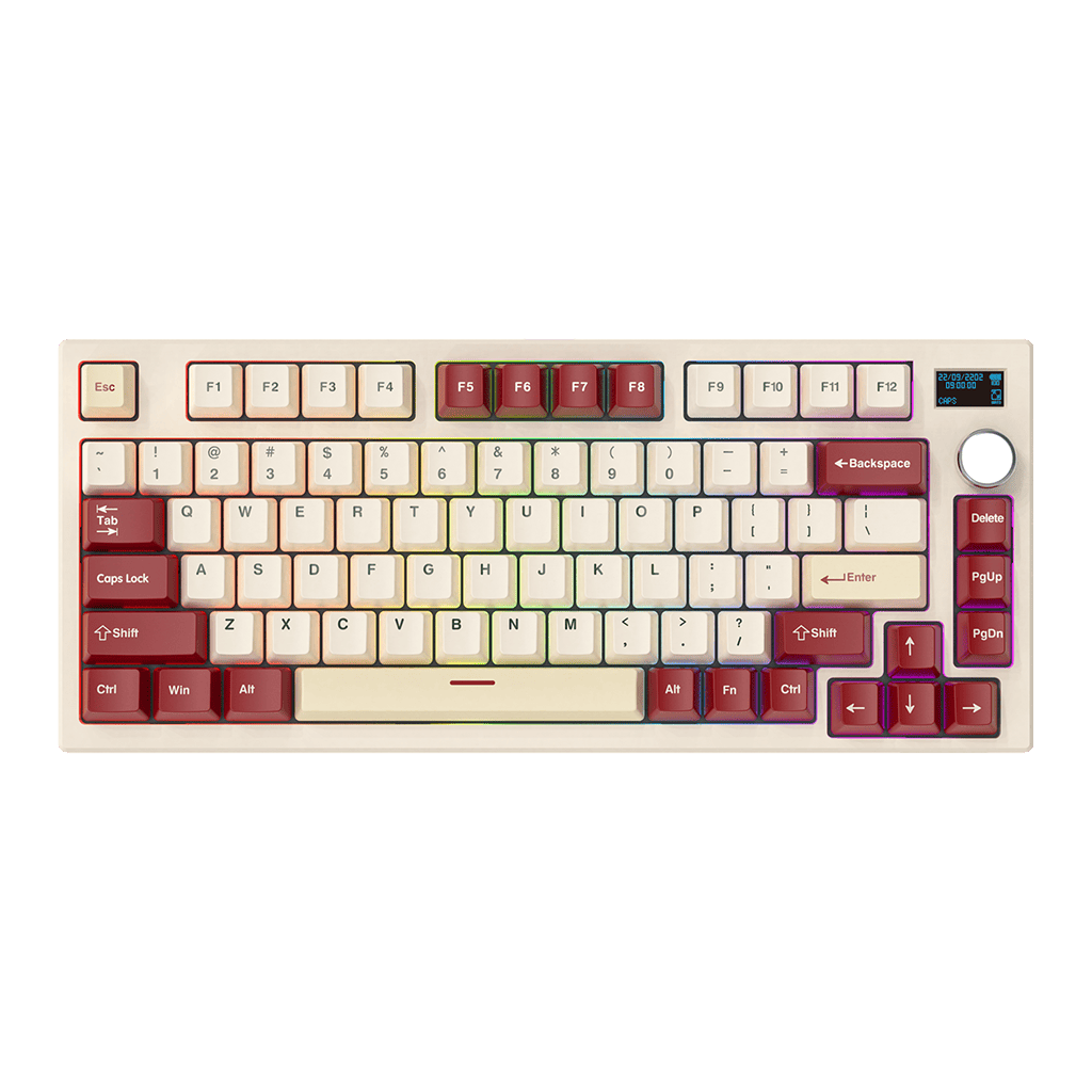 MAXFIT81 VIBE EDITION